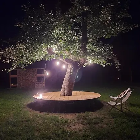 Dom Miodu I Wina * Muszyna